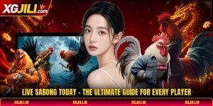 Live Sabong Today - The Ultimate Guide For Every Player