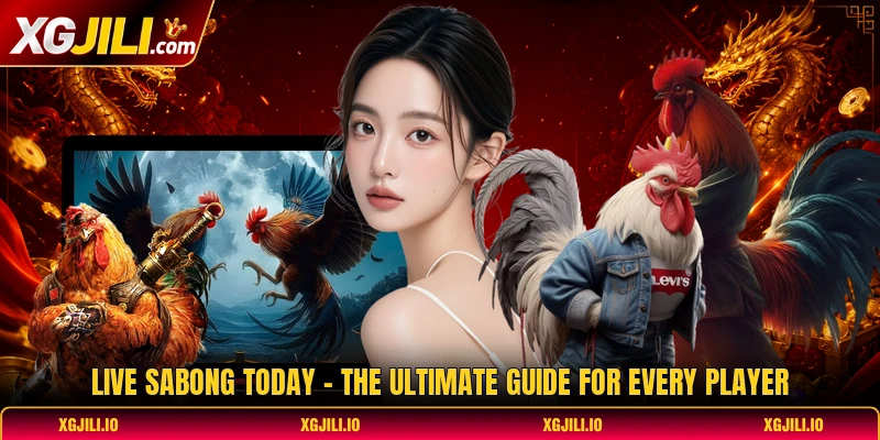 Live Sabong Today - The Ultimate Guide For Every Player
