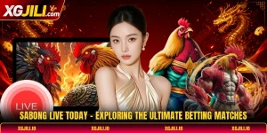 Sabong Live Today - Exploring The Ultimate Betting Matches