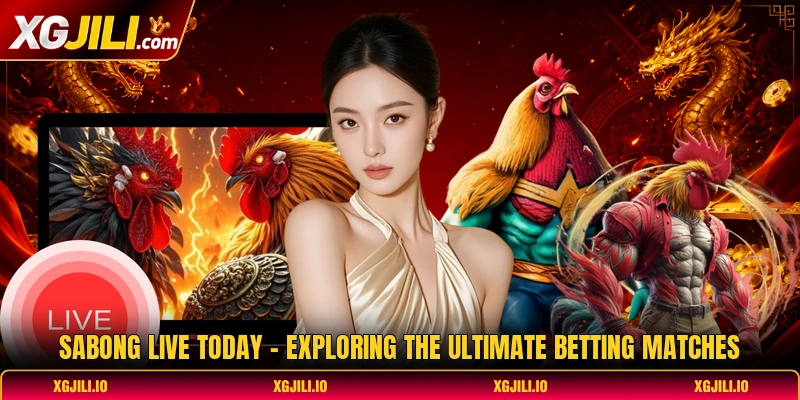 Sabong Live Today - Exploring The Ultimate Betting Matches